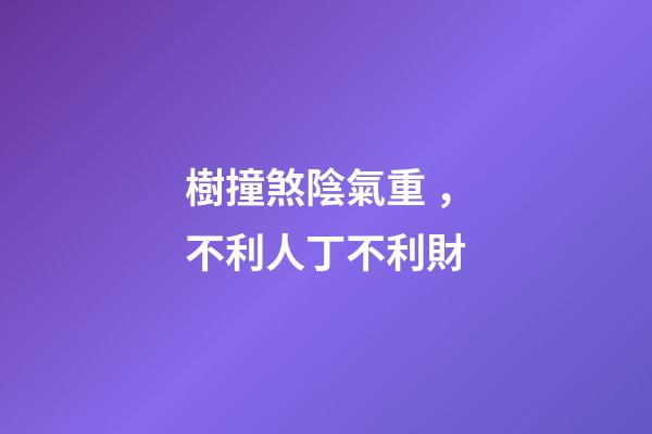 樹撞煞陰氣重，不利人丁不利財